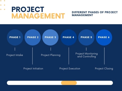 PMP-certified Project Manager with over 10 years of experience