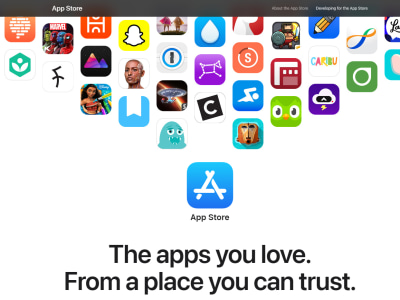 Any country's  App Store basic rank information or relevant reviews