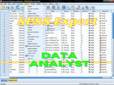 Dissertation Writer | Thesis Writer| SPSS Analyst I Excel Expert