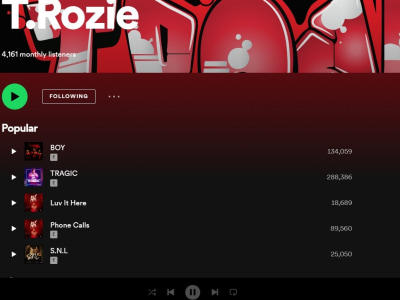 Organic Spotify Music promotion for Spotify monthly listeners, streams.