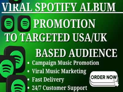 Effective campaign to promote Spotify album to USA targeted audience