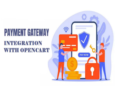 A Payment Gateway for OpenCart