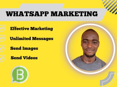 WhatsApp Marketing, Data Management