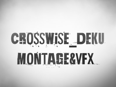 A stylish and unique music video