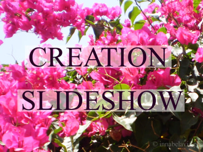 A beautiful slideshow for your business.