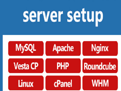 VPS or dedicated server with web hosting panel of your choice