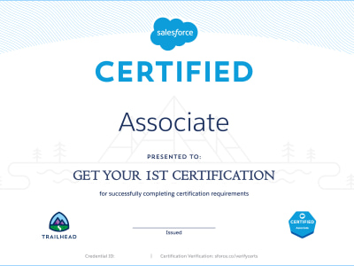 Interactive classes for Salesforce Associate Certification