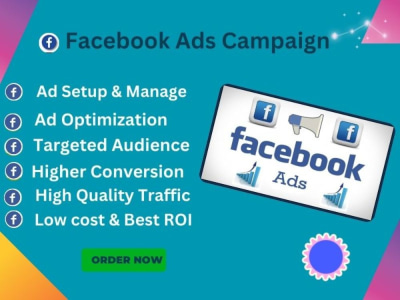 Facebook Ads campaign to set up FB Ads manager