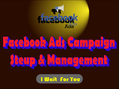 Facebook ads campaign and 100% Successful High Result