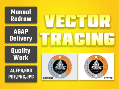 Perfect Vectorizer, Recreate Design, Detailed Vector Tracing from JPG