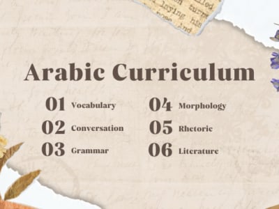 An Arabic Curriculum Content guiding learners from the basics to fluency.