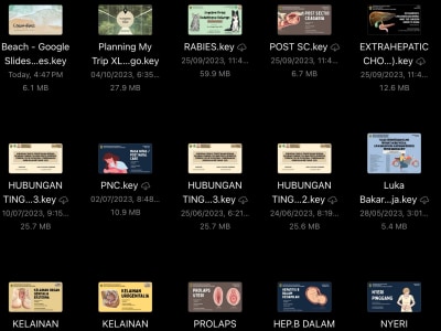 Professional Aesthetic Powerpoint Presentation, Keynote, Google Slides