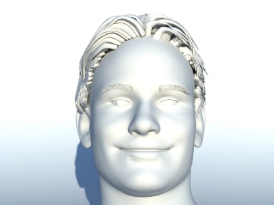 3D Face Sculpt of character 3D printable bust from photo