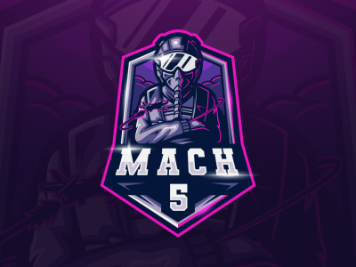 Professional mascot logo design