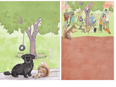 Children's illustrations, cover, front and back