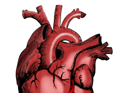 Research and summaries in medicine, nursing and public health