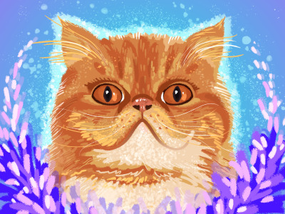 Cartoon pet portrait from the photo