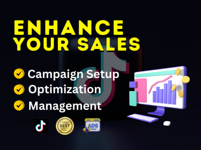 TikTok E-commerce Marketing Expert