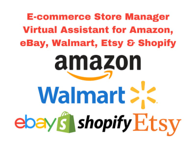 Professional eCommerce Virtual Assistance Services, Online Shop Manager VA