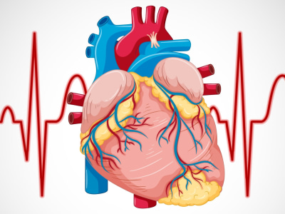 Heart-healthy recipes designed to help prevent CVD and CHD