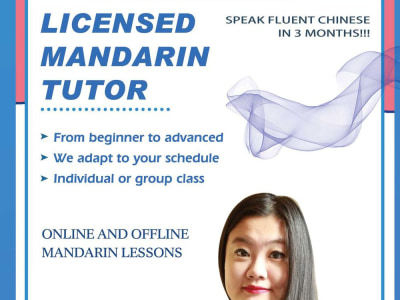 Chinese lessons as a professional tutor