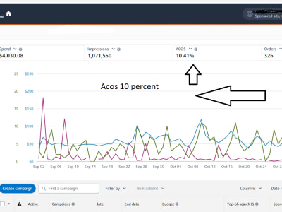 Amazon ads campaigns setup and management