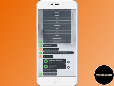Feature-rich API request tool | Upwork