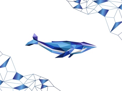 Modern bird polygonal, geometric,origami low poly custom logo design