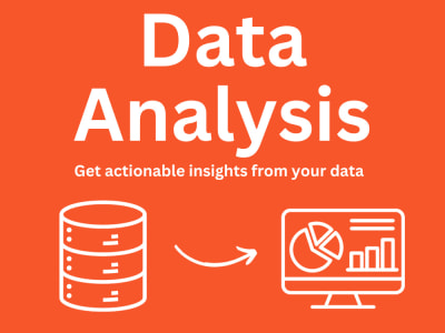 Comprehensive Data Visualization and Analysis: Expert in, Excel, Python
