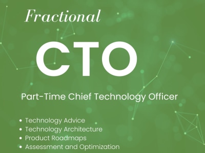 Virtual CTO Services: Gain access to top-tier technology expertise.
