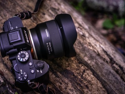 Professional Local Photography - Atlanta, GA