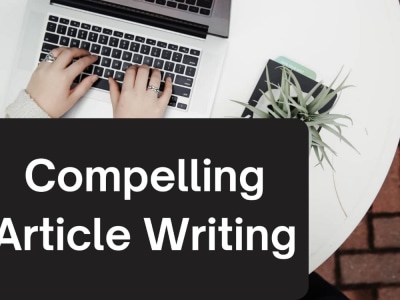 A Captivating SEO Article from a pro article writer - Blog article