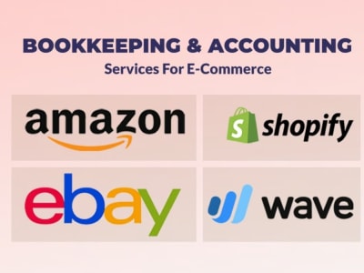 Accounting/Bookkeeping for Amazon and Shopify Business