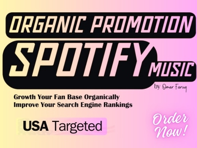 Lifetime Guaranteed USA Spotify Followers and Streams Promotion