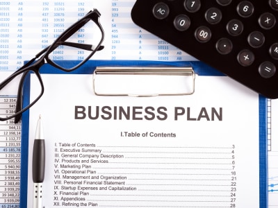 Business Plan, Market Research, Financial Plan, Pitch Deck, Business Grant