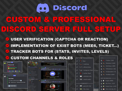 Professional NFT Discord Server Full Setup