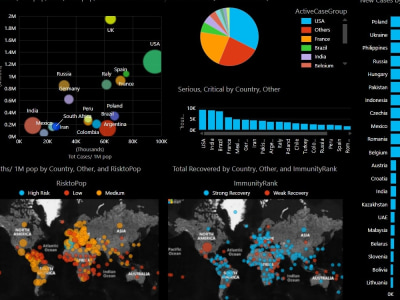 Visualization, Interactive Dashboard, Graphs, Charts, Analysis, Pivot ...