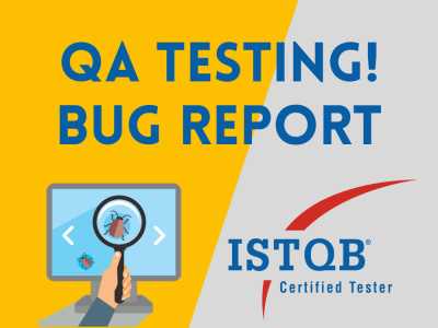 A detailed bug report of your Website or Mobile App