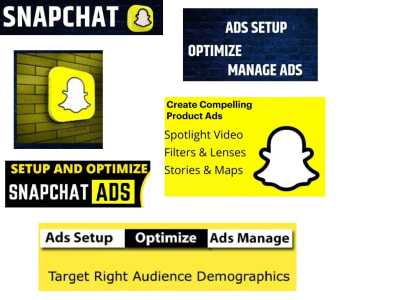 Properly setup & optimized Snapchat ads, Snapchat video ads, e-commerce ads