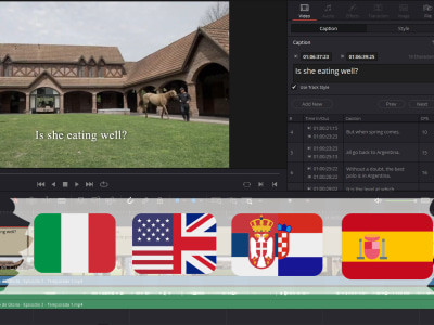 Industry-standard SUBTITLES for any video content🎞️(ENG, ITA, CRO/SRB/BOS)