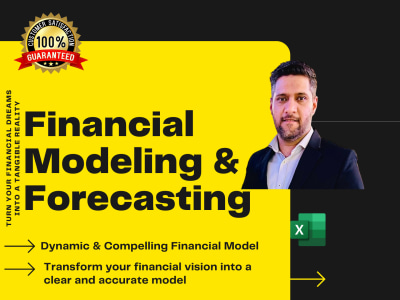 A Robust E-Commerce Financial Model