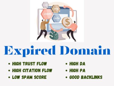 Authority Expired Domain High DR and Spam Free