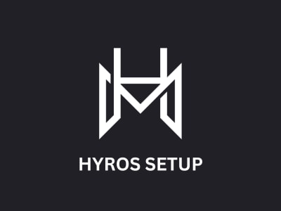 Hyros Audit, 2 Hours 1 on 1 Consultation or Advanced Hyros Setup