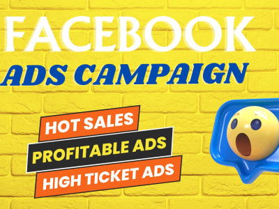 Facebook meta ads campaign for e-commerce product | Upwork