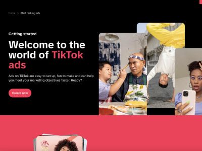 TikTok Ad Account Setup including Ads, Pixel, CAPI & TikTok Shop.
