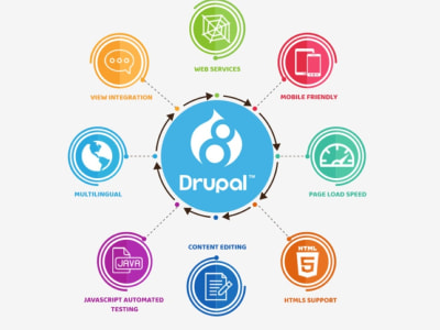 Drupal Expert Developer | Custom Module | Update theme | Bug fixing