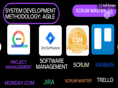 Weekly Project Management for your Project (up to 10hrs)