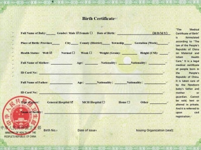 A professional Translation of Document from English to Chinese