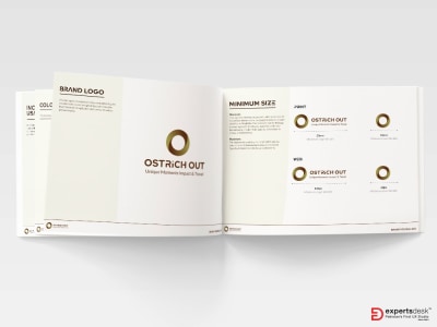 A brand guidelines, a style guide, and a branding manual with logo design.