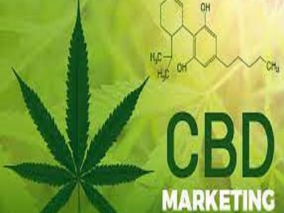 Shopify cbd store cannabis marijuana cbd shopify Promotion